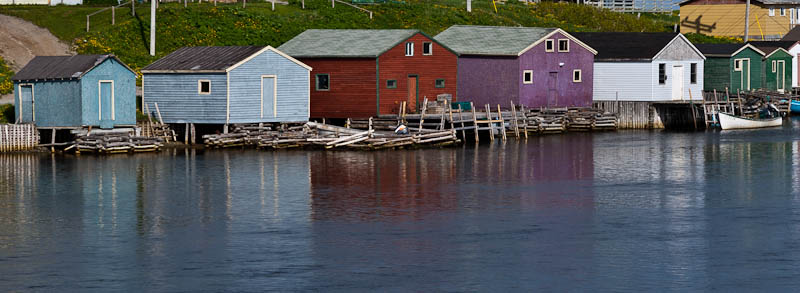 Newfoundland No-0832.jpg